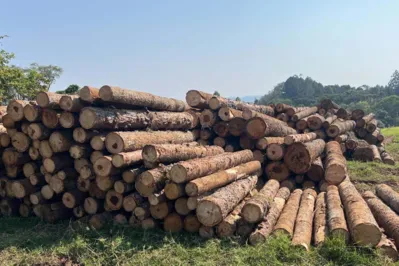 A área identificada de supressão vegetal foi de 701 hectares