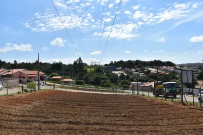 Programa Cultivar Energia  incentiva a implantação de hortas comunitárias sob linhas de alta tensão da Copel