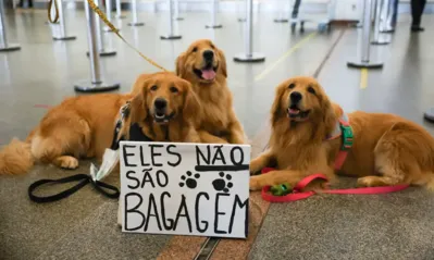 Imagem ilustrativa da imagem Tutores de pets protestam no Aeroporto de Brasília