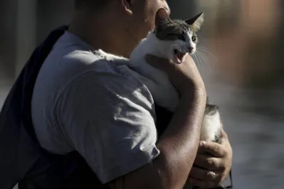 A man carries a cat rescued by soldiers in the Rio Branco neighborhood of Canoas, Rio Grande do Sul state, Brazil, on May 17, 2024. More than 600,000 people have been displaced by the heavy rain, flooding and mudslides that have ravaged the south of the state of Rio Grande do Sul for around two weeks. (Photo by Anselmo Cunha / AFP)
