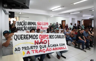 Imagem ilustrativa da imagem Vereadores rejeitam projeto que proíbe carroças em Londrina