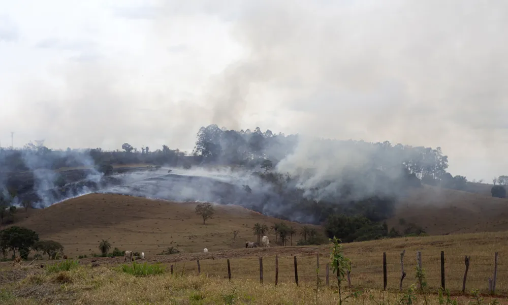 Além do risco de mortes de humanos e animais, os incêndios florestais podem provocar prejuízos consideráveis relacionados a perdas materiais e ambientais