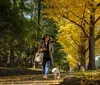 Cães podem motivar tutores a adotarem estilo de vida mais ativo