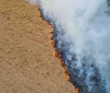 Entenda a diferença entre queimada, manejo com fogo e contrafogo