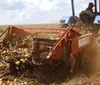 Três municípios acumulam topos no ranking agropecuário do PR
