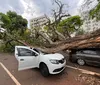 Ventos de 75 km/h causam estragos em Londrina