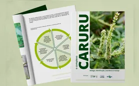 Cartilha ajuda agricultores a identificarem caruru nas lavouras