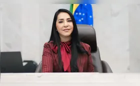 Comissão de Defesa dos Direitos da Mulher analisa 12 PLs