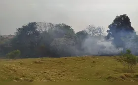 Incêndio atinge propriedades rurais na zona leste de Londrina