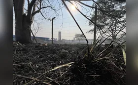 Incêndios ambientais disparam em Londrina e mudam a paisagem