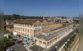 Indústria do porco completa 100 anos no Paraná