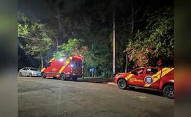 Jovens são resgatados após se perderem em mata em Londrina