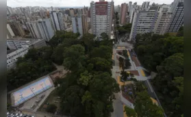 Pombas do Bosque - sugestão aos especialistas