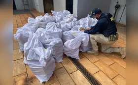 Quase uma tonelada de maconha é apreendida pela PRF em Arapongas