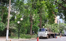 Sema inicia poda e limpeza do Bosque para reduzir mau cheiro