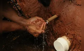 Vinte nascentes de Londrina receberão serviço de proteção
