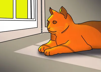 Imagem ilustrativa da imagem A dança do sol anuncia o verão na minha janela