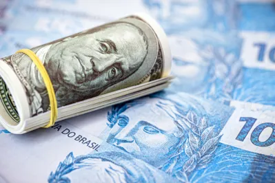 Imagem ilustrativa da imagem Alta do dólar abre oportunidades ao setor produtivo