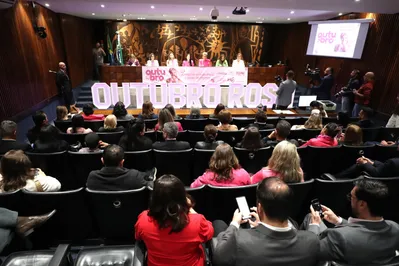 Imagem ilustrativa da imagem Audiência pública marca Outubro Rosa na Assembleia Legislativa