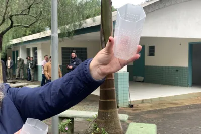 Imagem ilustrativa da imagem Biofábrica do Método Wolbachia  em Foz do Iguaçu soltará mosquitos em 13 bairros