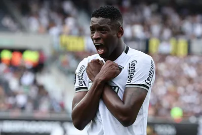 Botafogo's forward #07 Luiz Henrique celebrates after scoring his team first goal during the Copa Libertadores final football match between Brazilian teams Atletico Mineiro and Botafogo at the Mas Monumental Stadium in Buenos Aires on November 30, 2024. (Photo by ALEJANDRO PAGNI / AFP)