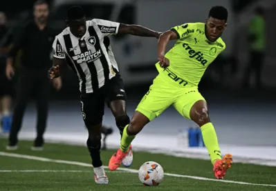 Botafogo's forward Luis Henrique (L) and Palmeiras' defender Vanderlan fight for the ball during the Copa Libertadores round of 16 first leg all-Brazilian football match between Botafogo and Palmeiras at the Olimpico Nilton Santos stadium in Rio de Janeiro, Brazil, on August 14, 2024. (Photo by Pablo PORCIUNCULA / AFP)