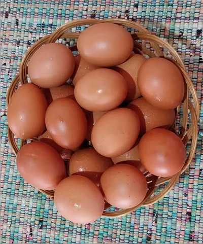 Imagem ilustrativa da imagem Cesta de ovos: um poema de fina roupagem