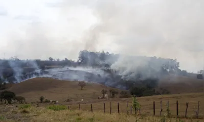 Além do risco de mortes de humanos e animais, os incêndios florestais podem provocar prejuízos consideráveis relacionados a perdas materiais e ambientais