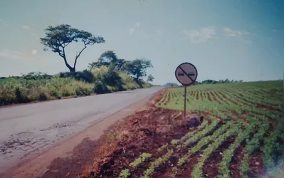Imagem ilustrativa da imagem Como não temê-los e até mesmo se aproveitar dos problemas