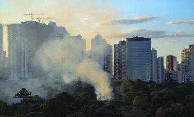 Imagem ilustrativa da imagem Cresce o número de incêndios na área urbana de Londrina
