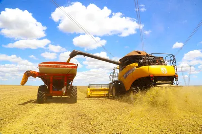 A área plantada na primeira safra representa mais de 90% do plantio entre os principais grãos produzidos no Paraná