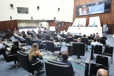 Audiência ocorreu no Plenário da Assembleia Legislativa na manhã de quinta-feira, 5 de agosto