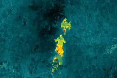 Imagem ilustrativa da imagem Drone térmico da PM encontra fugitivos no meio da mata