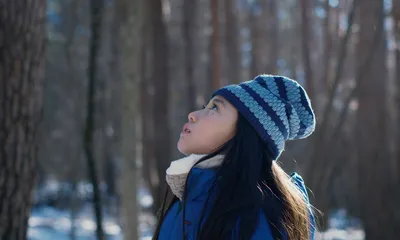 Filme traz uma pequena comunidade perto de Tóquio ameaçada pelo lobby do turismo rural e seus desdobramentos