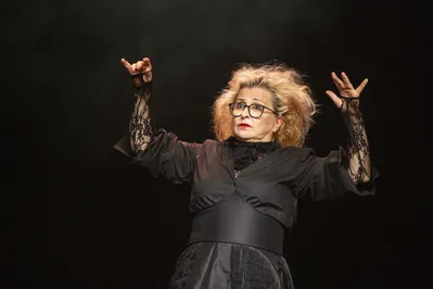 Rosana Stavis em 'A Aforista:'  montagem conquistou o Prêmio APCA (Associação Paulista de Críticos de Arte) 2023 na categoria Melhor Espetáculo