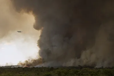 Grandes focos de incêndio atingem áreas do Parque Nacional de Brasília