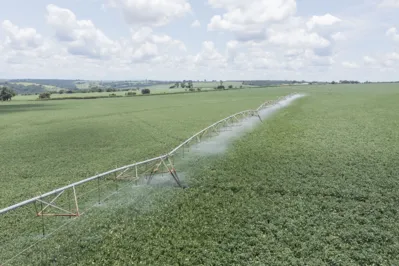 Apenas 3% da área utilizada para lavouras conta com sistema de irrigação no Paraná, o equivalente a 170 mil hectares