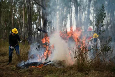 Imagem ilustrativa da imagem IAT emite alerta para risco elevado de incêndio em Unidades de Conservação