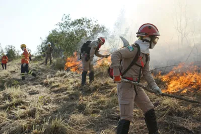 Imagem ilustrativa da imagem Incêndios em vegetação aumentam 133% no Paraná