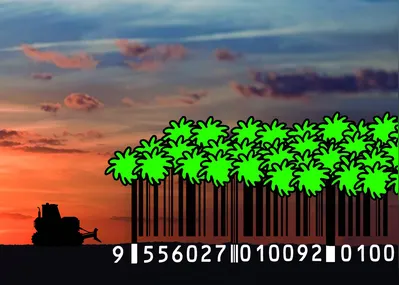 Imagem ilustrativa da imagem Londrina deve preservar seus espaços verdes: vale é vida