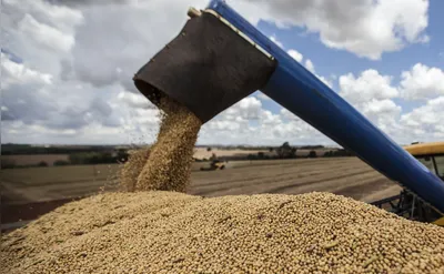 A cultura da soja está presente entre as principais atividades dos 5 novos municípios com VBP acima de R$ 1 bilhão em 2023