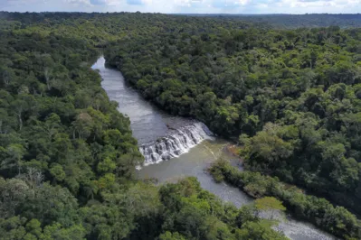 Imagem ilustrativa da imagem Paraná é o Estado mais sustentável do Brasil, aponta Ranking de Competitividade