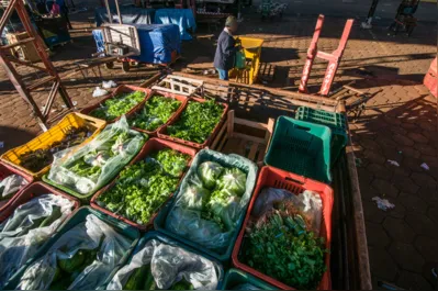 Na Ceasa (Central de Abastecimento do Paraná) em Londrina, a cotação diária dos produtos aponta alta pontual em alguns itens