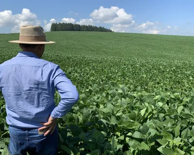 Mauá da Serra: cinco décadas do plantio direto