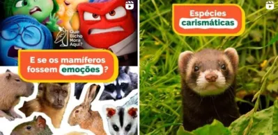 Imagem ilustrativa da imagem Que bicho mora aqui: projeto da UEL orienta sobre preservação da fauna