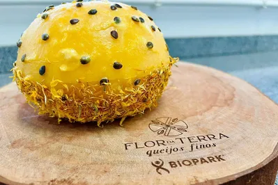 Queijo maturado com infusão de maracujá e sementes em sua casca foi eleito nono melhor queijo do mundo