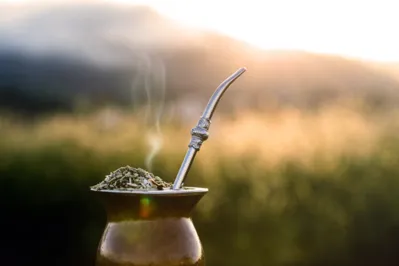 ChimarrÃ£o, traditional yerba mate tea from the state of Rio Grande do Sul. Selective focus. Typical drink with Serra Gaucha in the background.