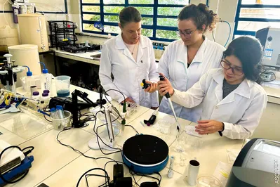 Imagem ilustrativa da imagem UEM lidera ranking de produção científica feminina no Brasil