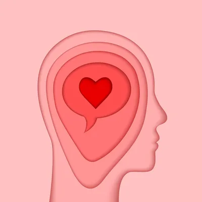 Imagem ilustrativa da imagem Um romance verdadeiro