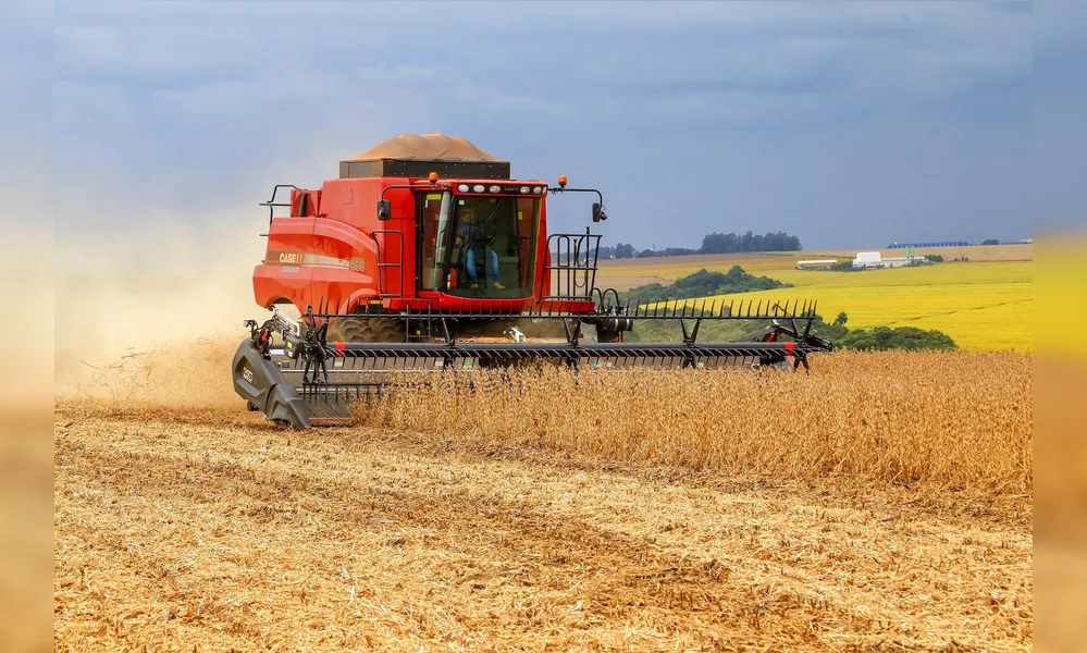 Imagem ilustrativa da imagem IBGE reduz estimativa, mas prevê safra recorde de grãos em 2025